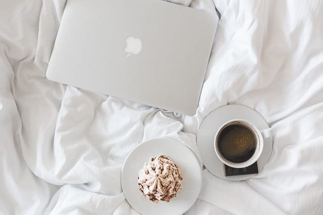 Breakfast in Bed APS is experts with Bed Bugs