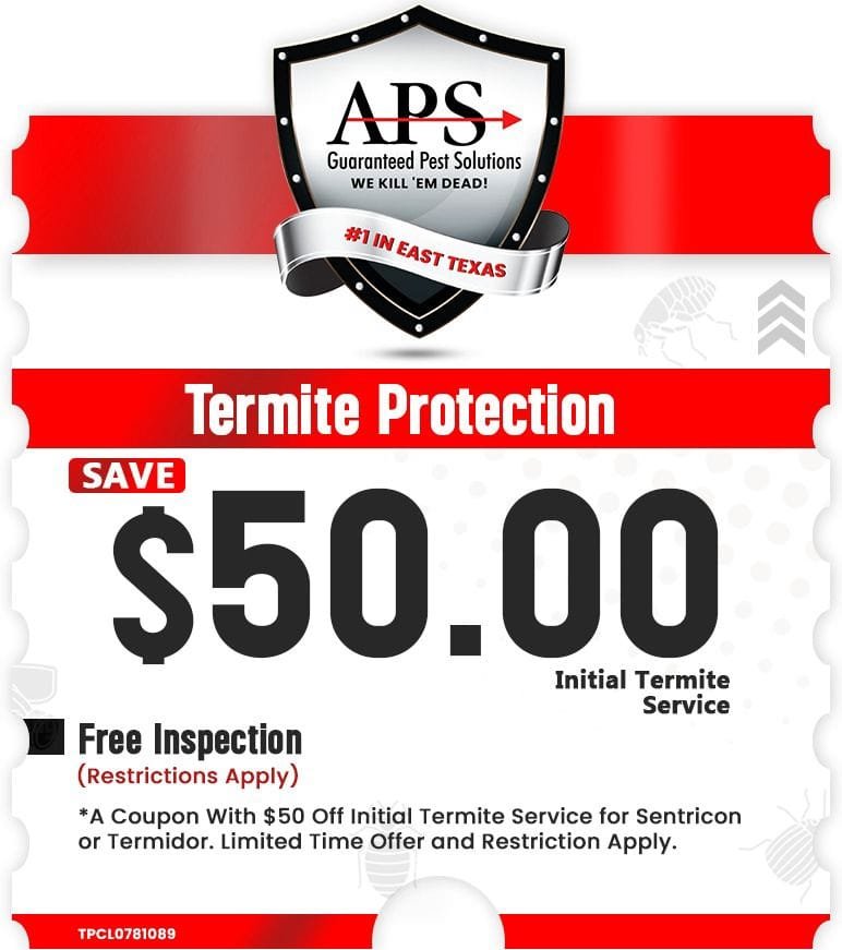 Termite Protection
